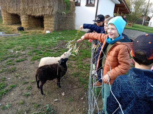 Agro-Family-park-Boskovstejn-12