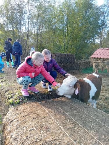 Agro-Family-park-Boskovstejn-3