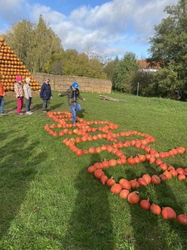 Agro-Family-park-Boskovstejn-33