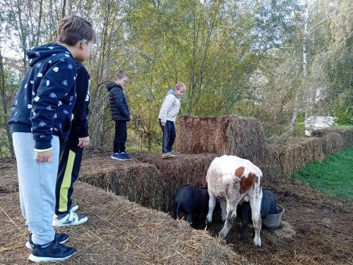 Agro-Family-park-Boskovstejn-4