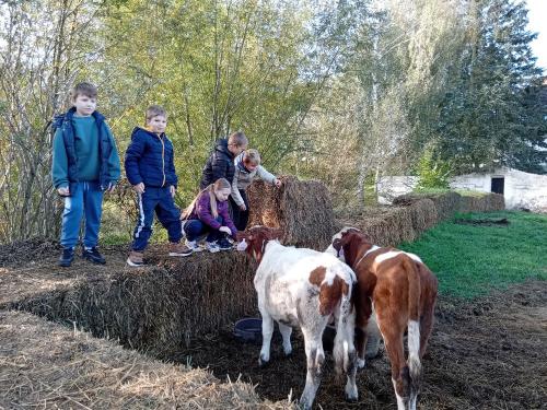 Agro-Family-park-Boskovstejn-5