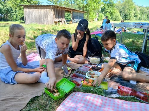 Piknik-u-rybnika-4.-tr-1