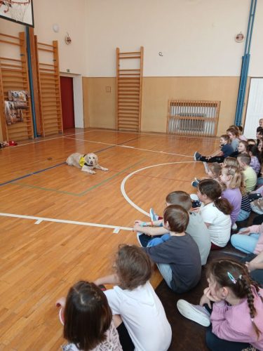 Canisterapie-1.-skupina-11