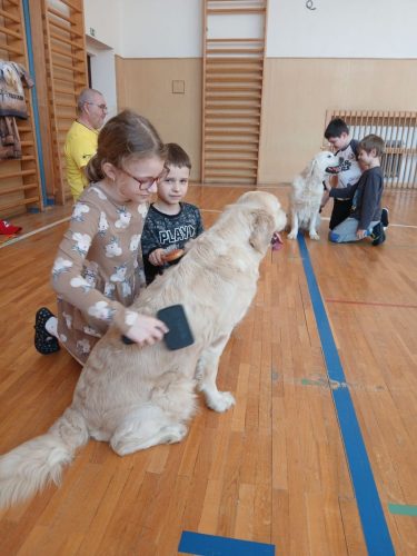 Canisterapie-1.-skupina-12