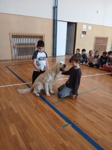 Canisterapie-1.-skupina-14