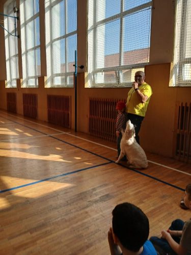 Canisterapie-1.-skupina-27