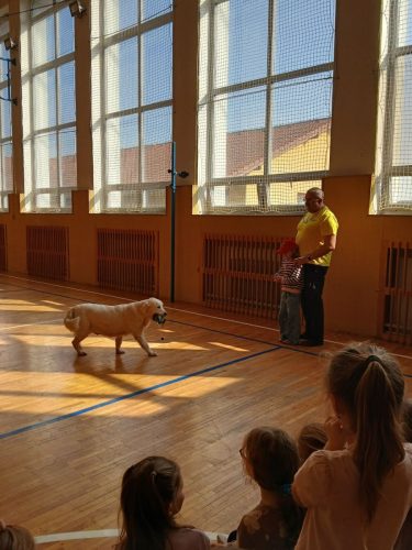 Canisterapie-1.-skupina-29