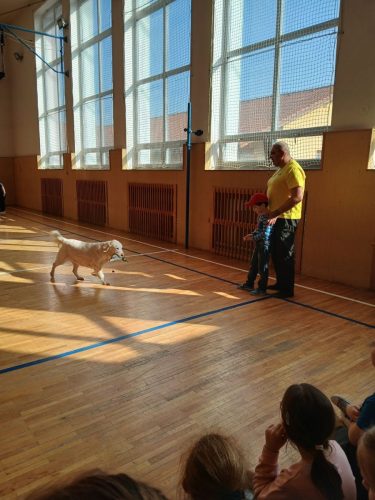 Canisterapie-1.-skupina-30