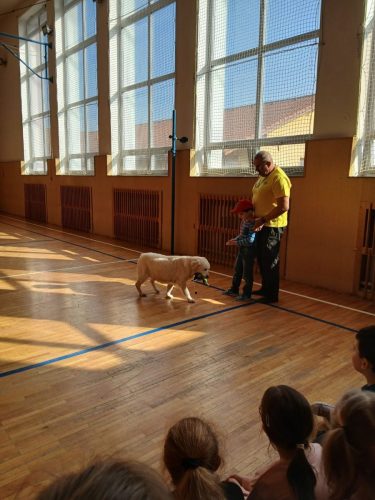 Canisterapie-1.-skupina-31