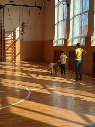 Canisterapie-1.-skupina-32