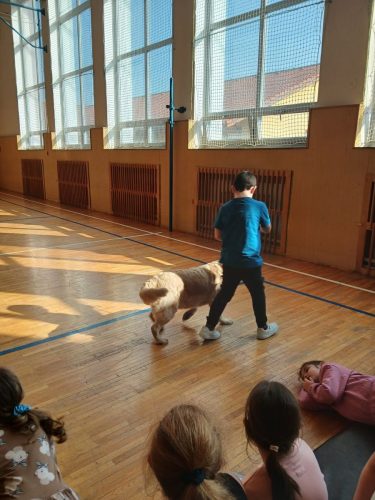 Canisterapie-1.-skupina-33