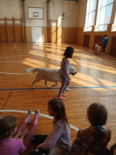 Canisterapie-1.-skupina-35