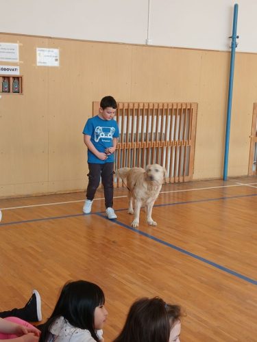 Canisterapie-1.-skupina-36