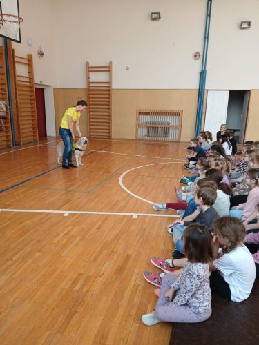 Canisterapie-1.-skupina-4