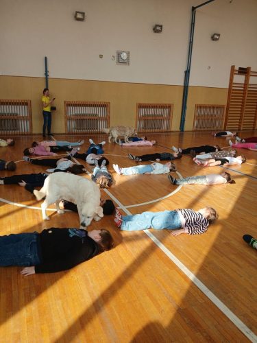 Canisterapie-1.-skupina-40