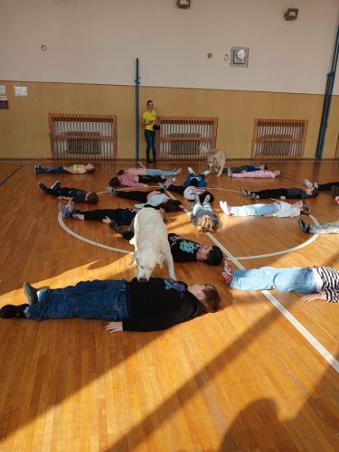 Canisterapie-1.-skupina-41