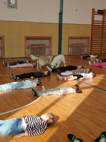 Canisterapie-1.-skupina-46