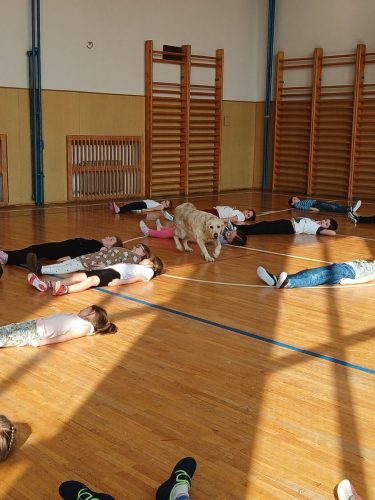 Canisterapie-1.-skupina-47