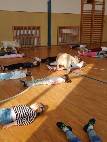 Canisterapie-1.-skupina-48