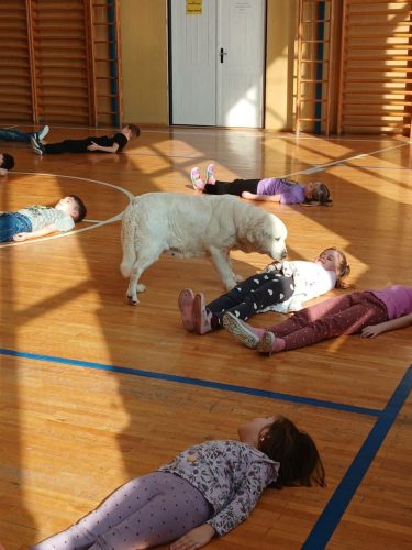 Canisterapie-1.-skupina-51