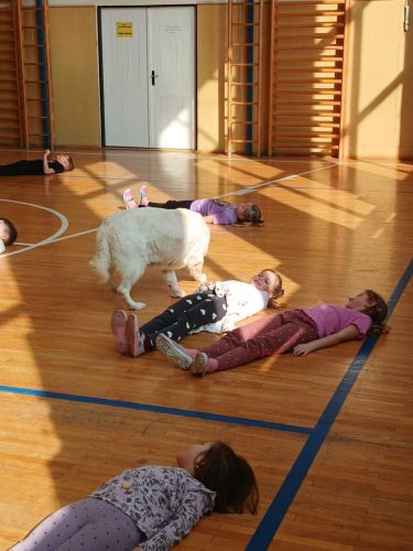 Canisterapie-1.-skupina-52