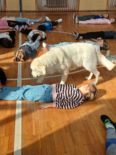 Canisterapie-1.-skupina-56