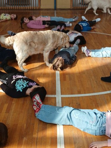 Canisterapie-1.-skupina-58