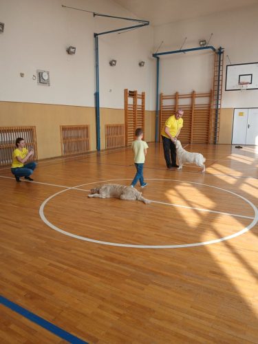 Canisterapie-1.-skupina-60