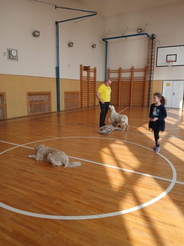 Canisterapie-1.-skupina-65