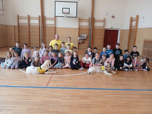 Canisterapie-1.-skupina-71