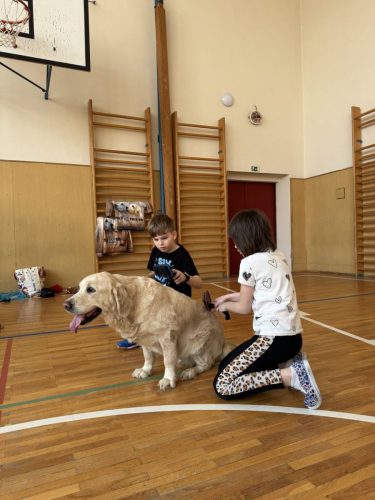 Canisterapie-2.-skupina-19