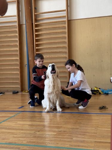 Canisterapie-2.-skupina-20