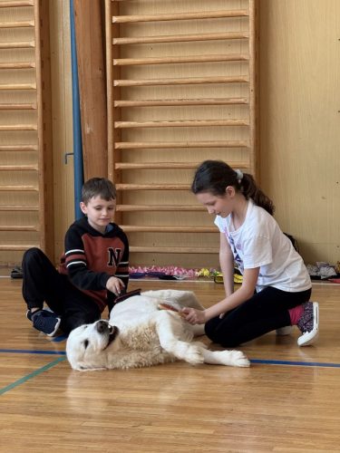 Canisterapie-2.-skupina-21