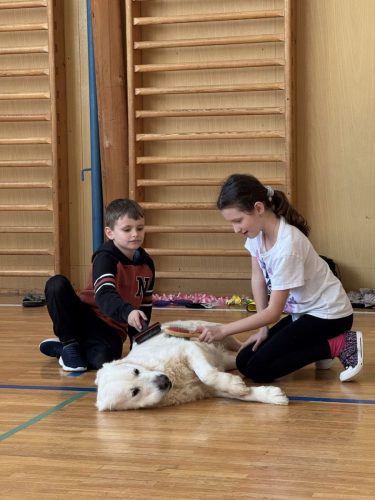 Canisterapie-2.-skupina-22