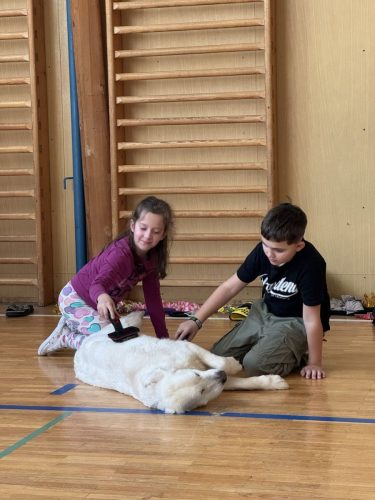 Canisterapie-2.-skupina-25