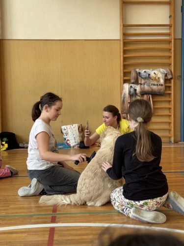 Canisterapie-2.-skupina-35