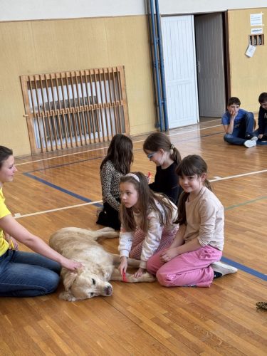 Canisterapie-2.-skupina-41