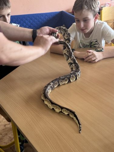 Chovame-hady-3.4.-5.-trida-13