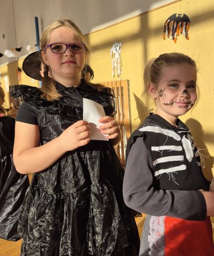 Den-ve-stras.-skole-12