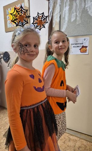 Den-ve-stras.-skole-22