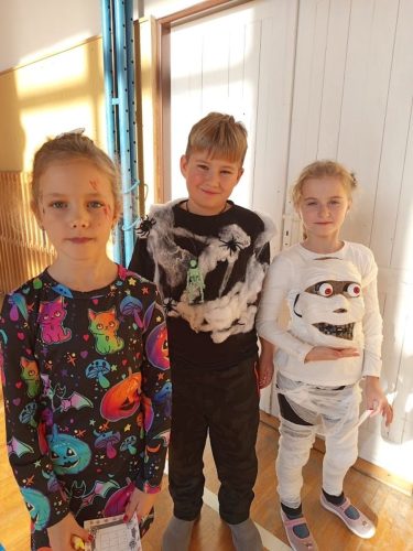 Den-ve-stras.-skole-34