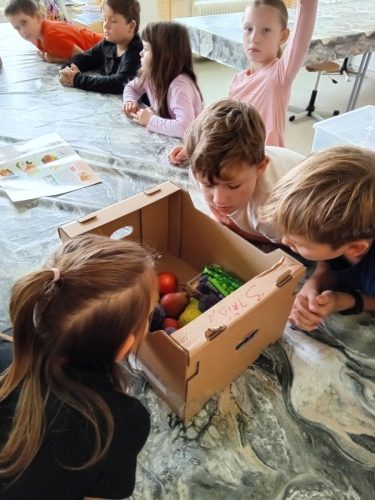 Ochutnavka-ovoce-3-1