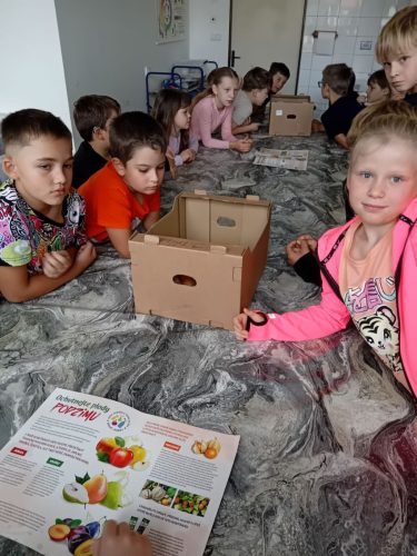 Ochutnavka-ovoce-3-2