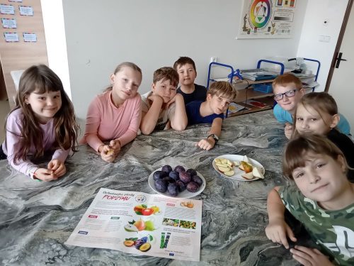 Ochutnavka-ovoce-3-5