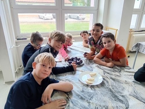 Ochutnavka-ovoce-3-6