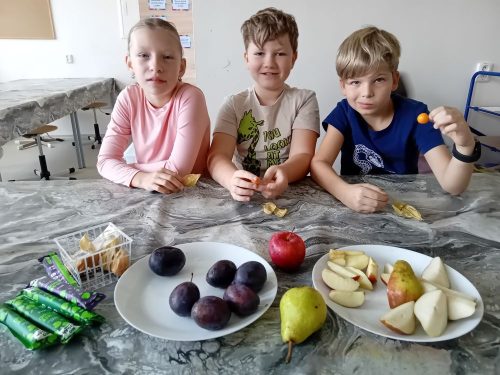 Ochutnavka-ovoce-3-8