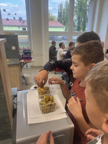 Ochutnavka-ovoce-4.-trida-5