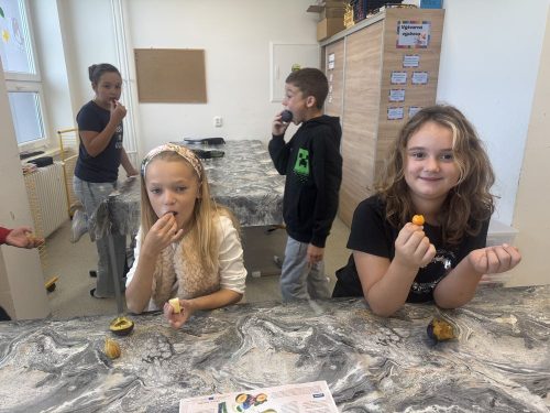 Ochutnavka-ovoce-4.-trida-8