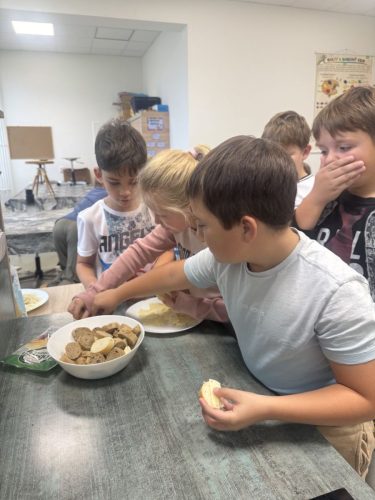 Ochutnavka-syru-3-11