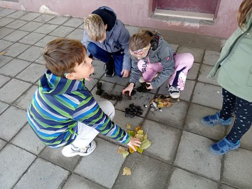 PC-prirodni-mandaly-3-2